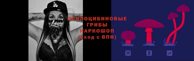 прущие грибы Алзамай